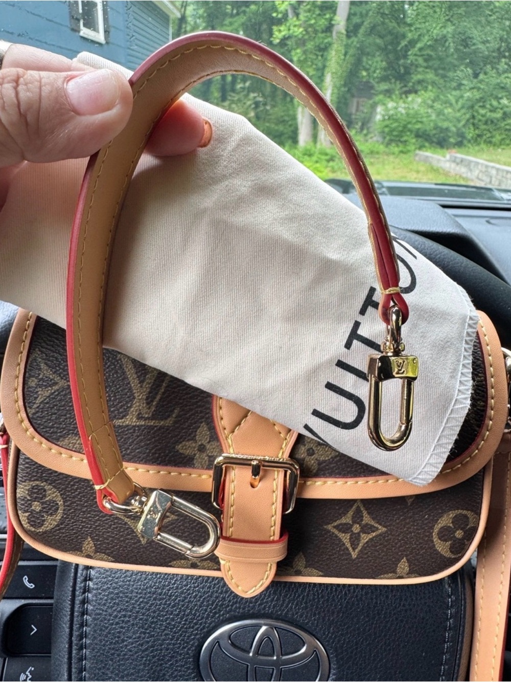 Louis Vuitton Brown bag
